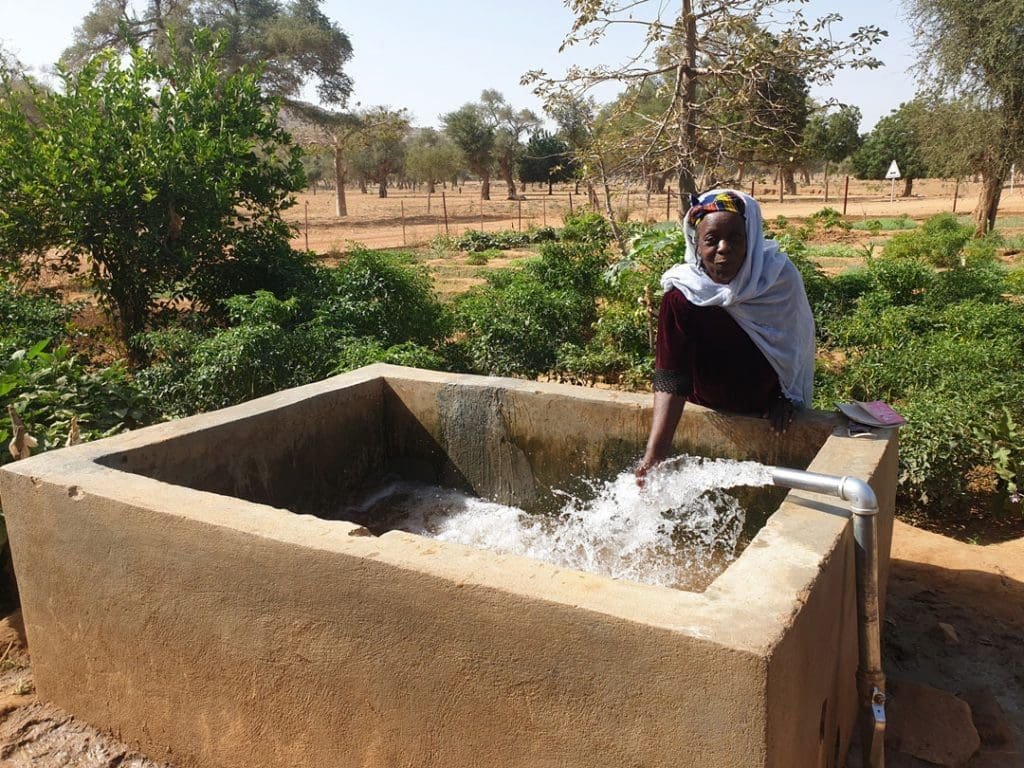 Empowering Livelihoods — IRFS Global project