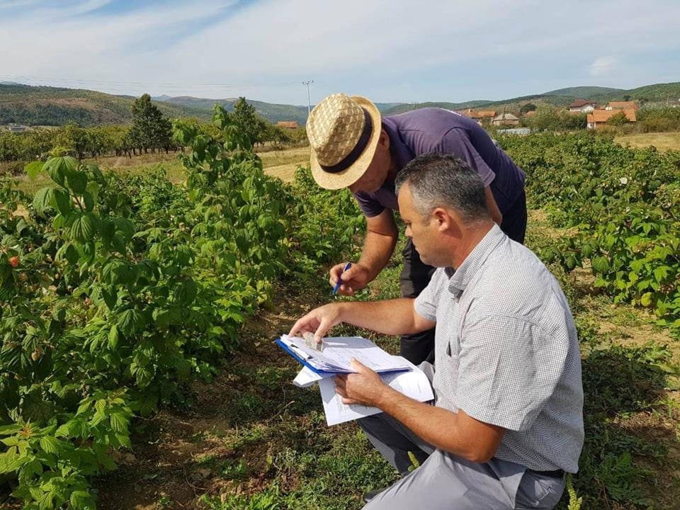 IRFS Global livelihoods programme supporting a family business